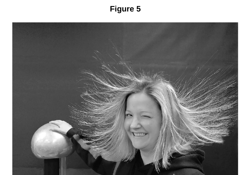Figure 5